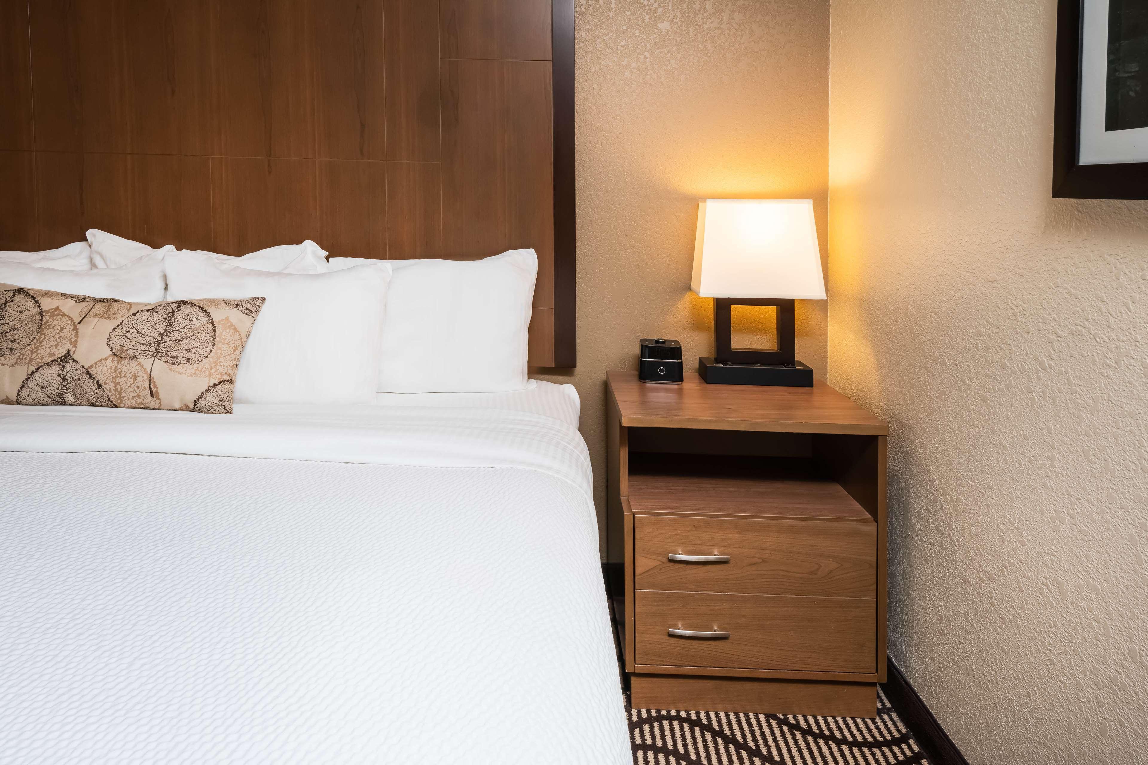 גרייט פולס Best Western Plus Riverfront Hotel And Suites מראה חיצוני תמונה